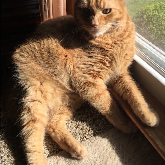 catmom0409